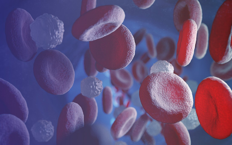 血流感染快速检测